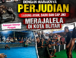 Perjudian Sabung Ayam, Dadu & Capjiki Merajalela, Warga Kota Blitar Desak Kapolda Jatim Bertindak Cepat