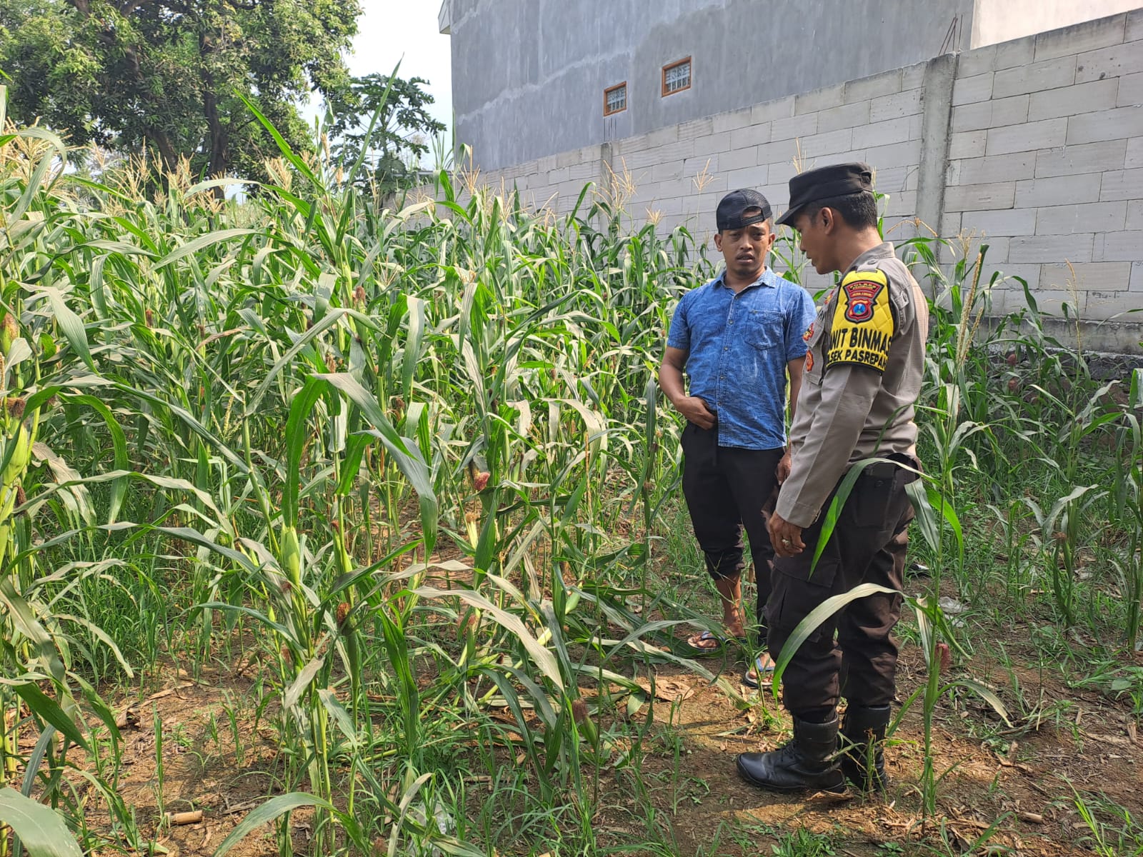 Polisi dampingi petani