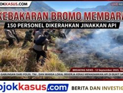 Ratusan Petugas Gabungan Bergerak Cepat Selamatkan Kawasan TNBTS