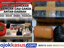 Jaringan Ganja Lintas Kota Terbongkar, Pasuruan Jadi Titik Pengembangan