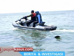Hiu Paus Muncul di Jabon, Wabup Mimik Dorong Wisata Bahari Sidoarjo