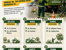 Pohon Rawan Tumbang Sidoarjo, Warga Diminta Melapor