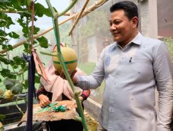 Wisata Petik Melon