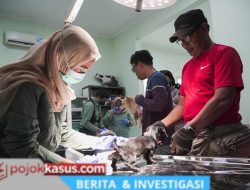 Vaksinasi Rabies Gratis Sidoarjo, Ancaman Mematikan Diwaspadai