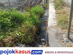 Warga Mojoparon Keluhkan Dugaan Penutupan Saluran Irigasi oleh PT Mitra Alam Segar, Petani Khawatir Banjir