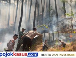 Karhutla Lereng Gunung Limas, Petugas Padamkan Api