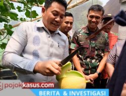 Wisata Petik Melon Candi Negoro Jadi Magnet Baru Sidoarjo