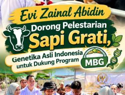 Evi Dorong Pelestarian Sapi Grati Dukung Program MBG