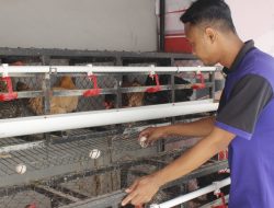 Lapas Sidoarjo Panen