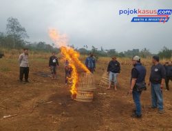 Praktik Ilegal Sabung Ayan Malang Di Gerebeg Polisi Bersama Warga